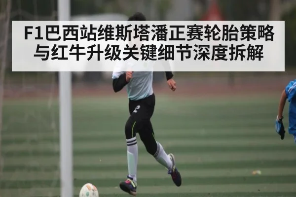 F1巴西站维斯塔潘正赛轮胎策略与红牛升级关键细节深度拆解